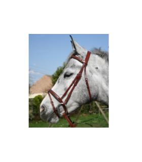 Bridon en cuir de chez jmr gamme Olympia