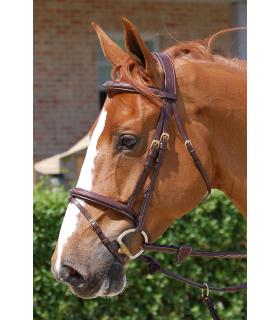 Bridon Dy'on collection muserolle combinée