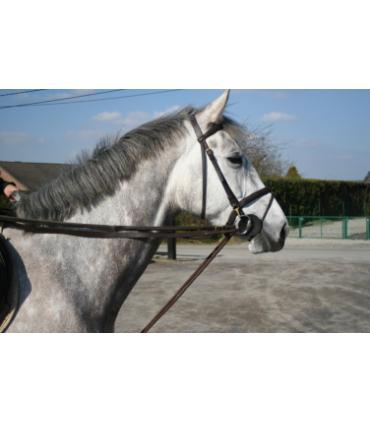 Rênes allemandes cuir/corde