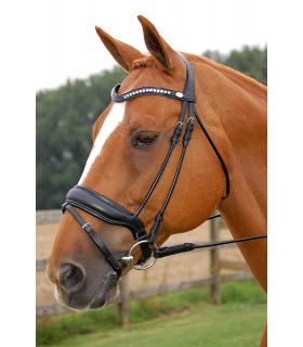 Bridon dressage muserolle combinée large Dy'on