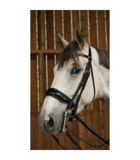 Bride avec muserolle large vernie noir Working Collection - Dy'on