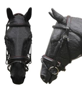 Bridon Quentin JMR avec muserolle croisée pull-back