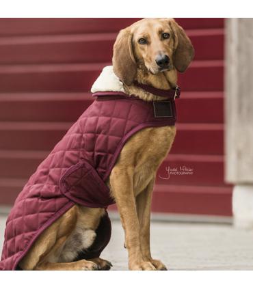 Manteau pour chien - Kentucky