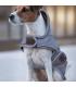 Manteau imperméable réfléchissant pour chien - Kentucky