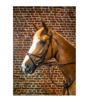 Bridon anatomique X-FIT Dy'on Collection - Dy'on