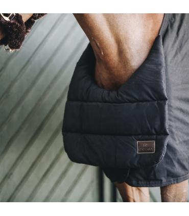 Protection poitrail Summer BIB - Kentucky