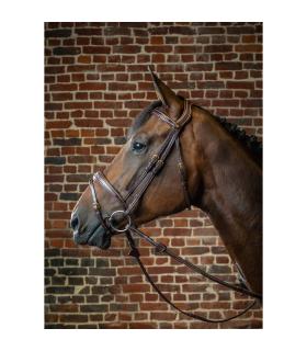 Bridon Dy'on collection muserolle et frontal anatomique