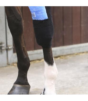 Chaussettes Tendon Grip - Kentucky