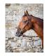 Bridon pour hackamore Dy'on