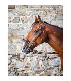 Bridon pour hackamore Dy'on