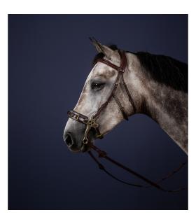 Bridon pour hackamore New English Collection - Dy'on