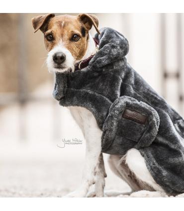 kentucky manteau chien