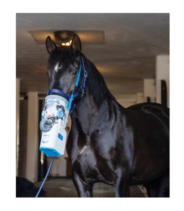 Inhalateur à ultrasons sans fil pour chevaux AirOne Flex