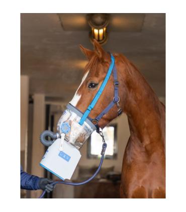 Masque d'inhalation pour chevaux AirOne Flex avec accessoires