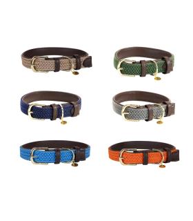 Collier pour chien en nylon tressé - Kentucky