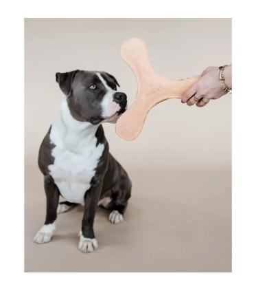 Jeux Boomerang Pastel pour chien - Kentucky