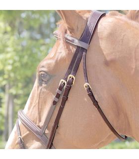 Têtière anatomique Dy'on Collection - Dy'on