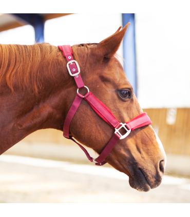 Ensemble Licol Cheval Rouge – The Groom