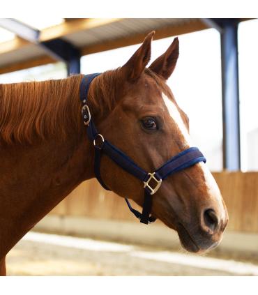 Licol Velvet - Equestre