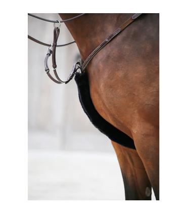 Fourreau de collier de chasse - Kentucky