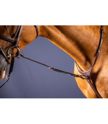 Fourchette de martingale fixe - Dy'on