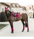 Tapis de Selle Mixte Kentucky Velvet – Fuschia