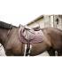 Tapis de Selle Mixte Kentucky Velvet – Parme
