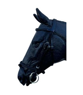 Bridonen cuir gamme Epsilon de chez jmr