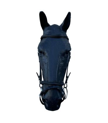 Bridonen cuir gamme Epsilon de chez jmr